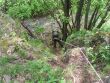 Taktické cvičenia účelových zoskupení 22. mechanizovaného práporu